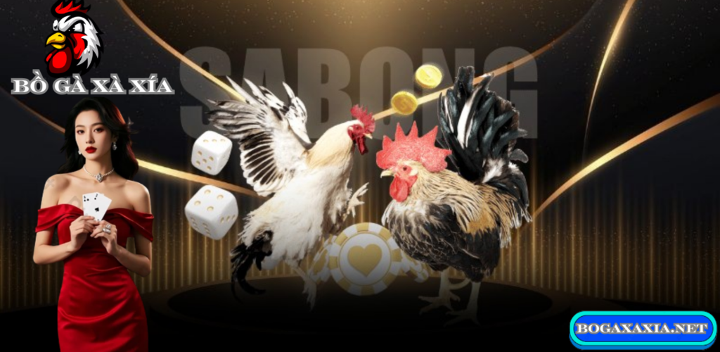 Giới Thiệu  Địa Điểm Của Bồ Gà Xà Xía