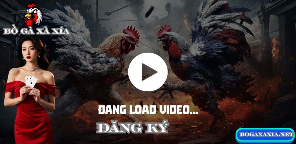 ĐĂNG KÝ Đá Gà Xà Xía: Hướng Dẫn Chi Tiết Cho Người Mới Bắt Đầu