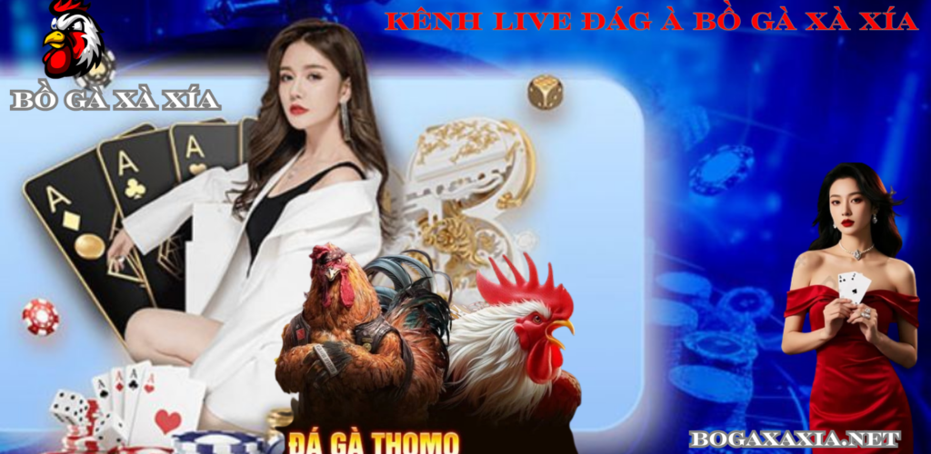 Kênh Live Trực Tiếp Đá Gà Bồ Gà Xà Xía