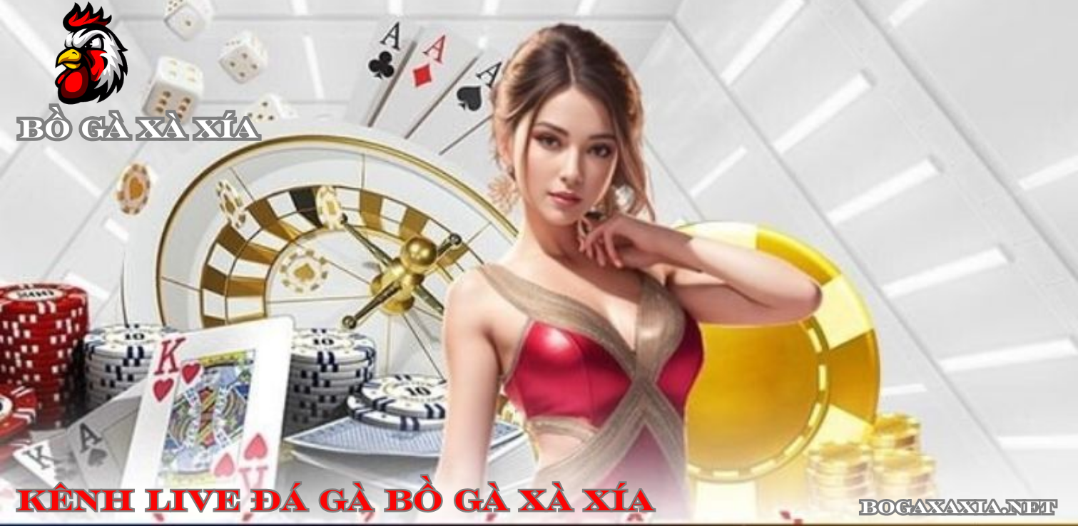 link xem đá gà trực tiếp bồ gà xà xía mới nhất 