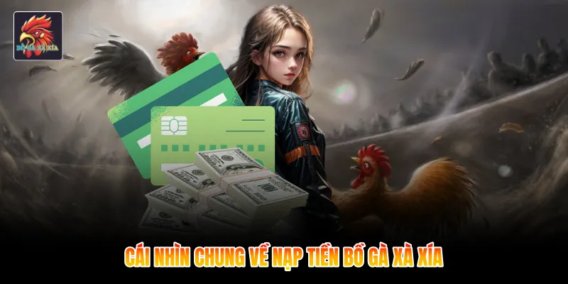 Cái nhìn chung về nạp tiền bồ gà xà xía