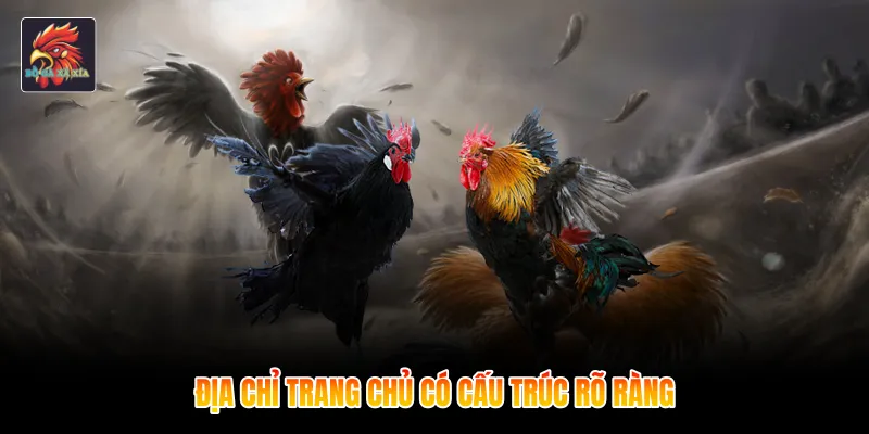 Địa chỉ trang chủ có cấu trúc rõ ràng