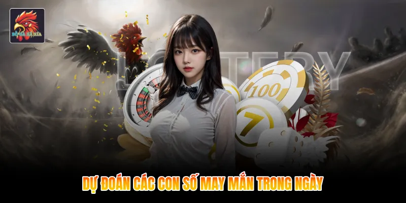 Dự đoán các con số may mắn trong ngày