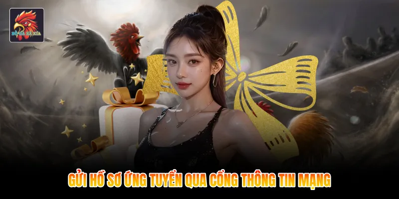 Gửi hồ sơ ứng tuyển qua cổng thông tin mạng