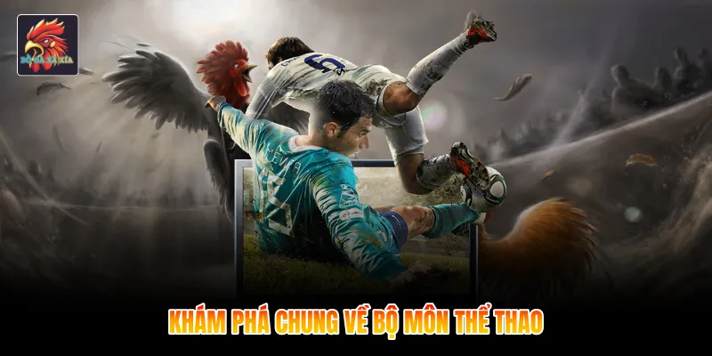 Khám phá chung về bộ môn thể thao