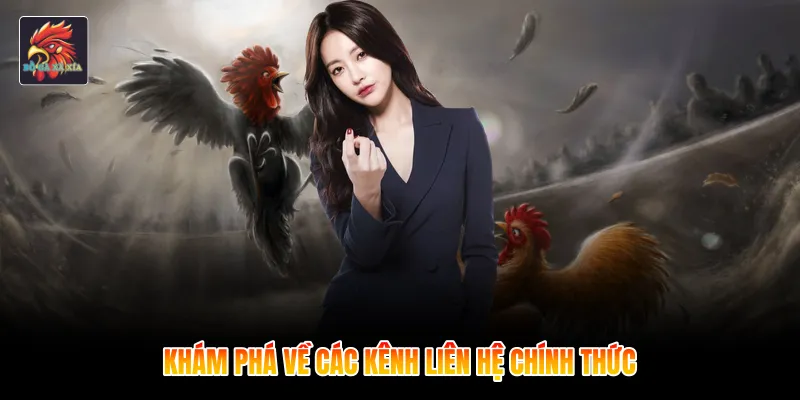 Khám phá về các kênh liên hệ chính thức