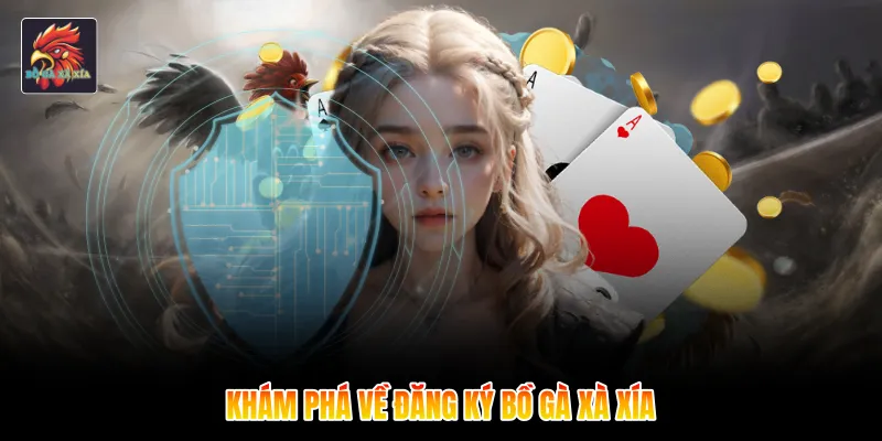 Khám phá về đăng ký bồ gà xà xía 