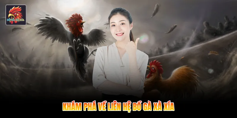 Khám phá về liên hệ bồ gà xà xía