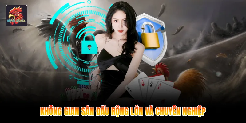 Không gian sàn đấu rộng lớn và chuyên nghiệp