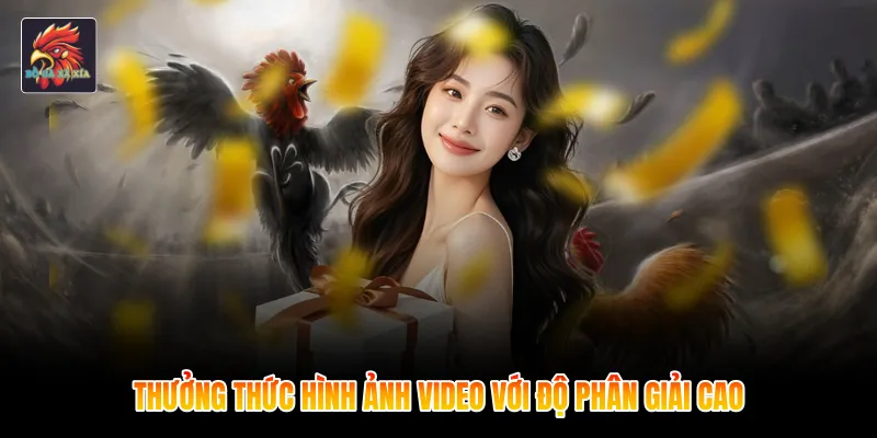 Thưởng thức hình ảnh video với độ phân giải cao