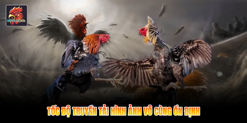 Tốc độ truyền tải hình ảnh vô cùng ổn định