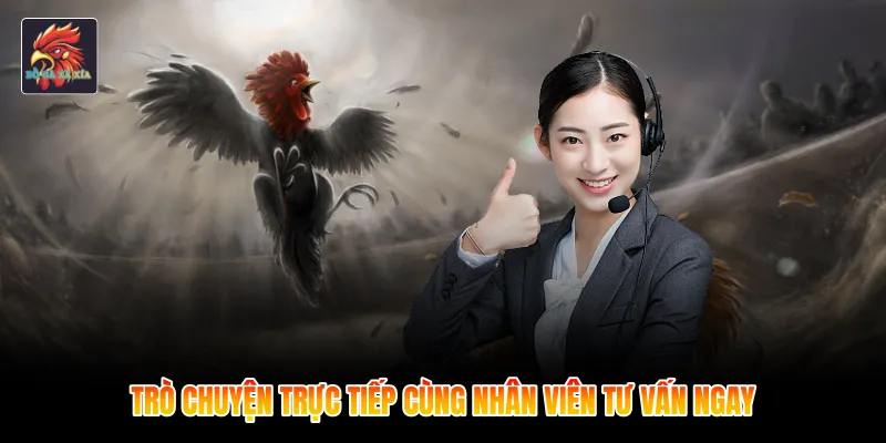 Trò chuyện trực tiếp cùng nhân viên tư vấn ngay
